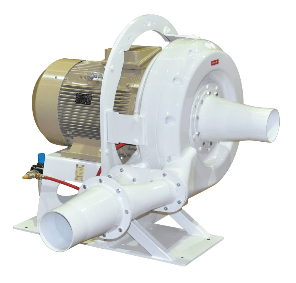 LARVA KIRICI (ENTOLETER)